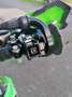 Kawasaki KX 250 Verde - thumbnail 10