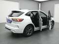 Ford Kuga ST-Line X 150PS/Assist.&Winter-Paket Weiß - thumbnail 41