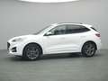 Ford Kuga ST-Line X 150PS/Assist.&Winter-Paket Weiß - thumbnail 39