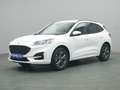 Ford Kuga ST-Line X 150PS/Assist.&Winter-Paket Weiß - thumbnail 2