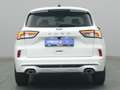 Ford Kuga ST-Line X 150PS/Assist.&Winter-Paket Weiß - thumbnail 7