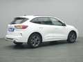 Ford Kuga ST-Line X 150PS/Assist.&Winter-Paket Weiß - thumbnail 21
