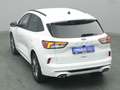 Ford Kuga ST-Line X 150PS/Assist.&Winter-Paket Weiß - thumbnail 43