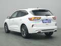 Ford Kuga ST-Line X 150PS/Assist.&Winter-Paket Weiß - thumbnail 30