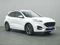 Ford Kuga ST-Line X 150PS/Assist.&Winter-Paket Weiß - thumbnail 5