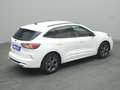Ford Kuga ST-Line X 150PS/Assist.&Winter-Paket Weiß - thumbnail 22