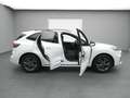Ford Kuga ST-Line X 150PS/Assist.&Winter-Paket Weiß - thumbnail 47