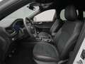Ford Kuga ST-Line X 150PS/Assist.&Winter-Paket Weiß - thumbnail 9