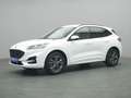 Ford Kuga ST-Line X 150PS/Assist.&Winter-Paket Weiß - thumbnail 15