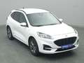Ford Kuga ST-Line X 150PS/Assist.&Winter-Paket Weiß - thumbnail 25