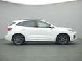 Ford Kuga ST-Line X 150PS/Assist.&Winter-Paket Weiß - thumbnail 8