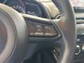 Mazda 2 Kizoku 1.5i EPH+KAMERA+VOLL LED+NAVI+KLIMAAT Argintiu - thumbnail 17