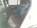 Jeep Avenger 1.2 MHEV 81KW FREEDOM 110 5P Blanco - thumbnail 13