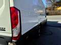 Iveco Daily40,35 S 21 V TURBO Automatik Kastenwagen155kW Weiß - thumbnail 15
