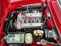 Alfa Romeo GT 2000 Veloce Rouge - thumbnail 9