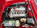 Alfa Romeo GT 2000 Veloce crvena - thumbnail 9