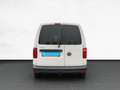 Volkswagen Caddy Trendline 5-Sitzer 2.0 TDI /AHK Weiß - thumbnail 5