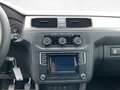 Volkswagen Caddy Trendline 5-Sitzer 2.0 TDI /AHK Weiß - thumbnail 15