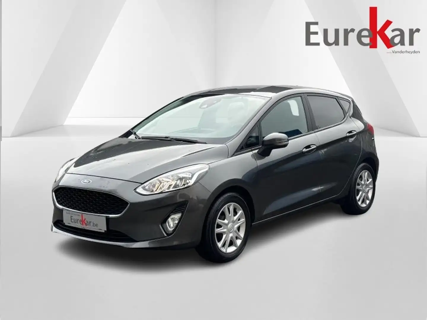 Ford Fiesta 1.0 ECOBOOST Business Grau - 1