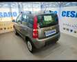 Fiat Panda 4x4 1.2  Climbing Grigio - thumbnail 4