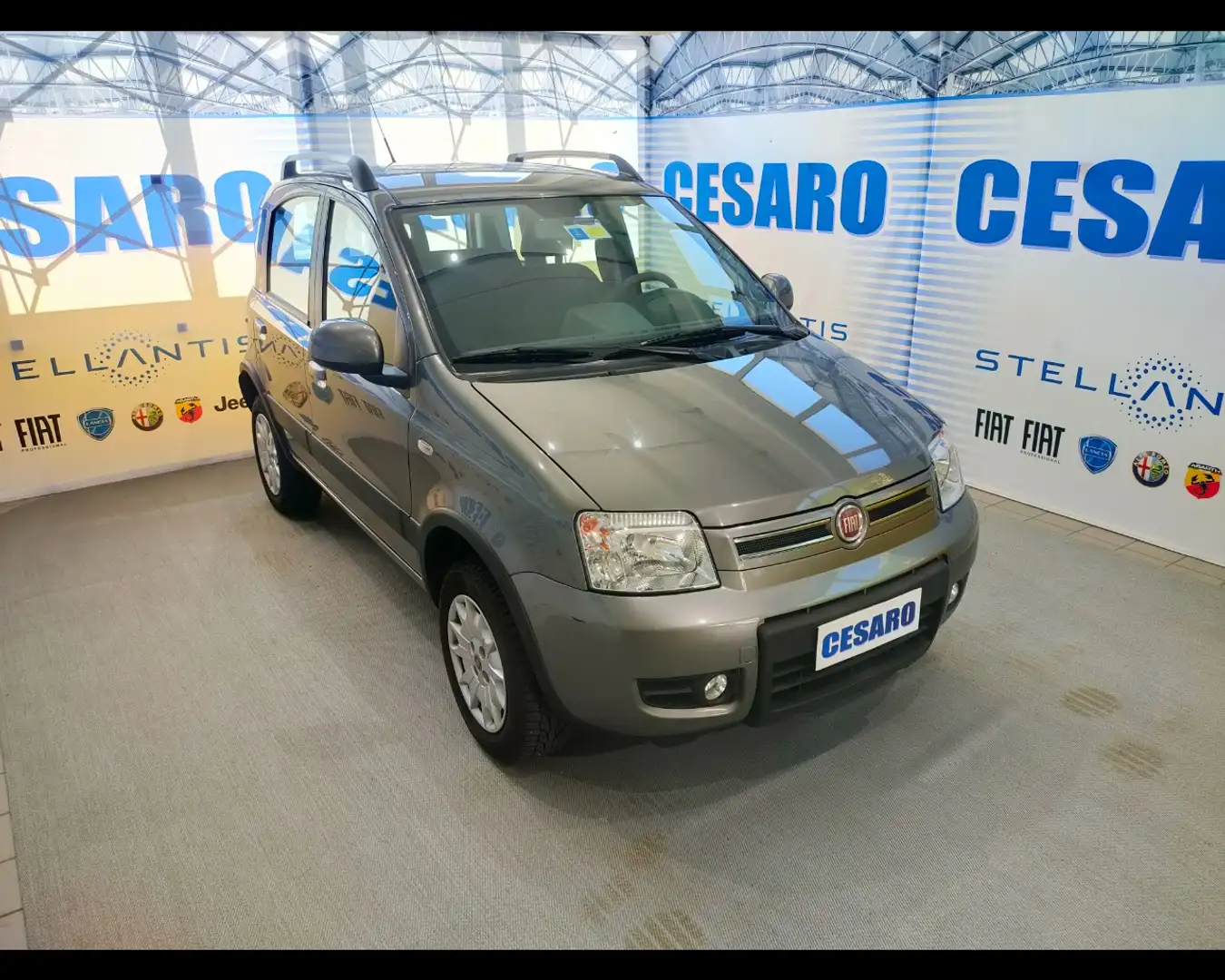 Fiat Panda 4x4 1.2  Climbing Grigio - 1