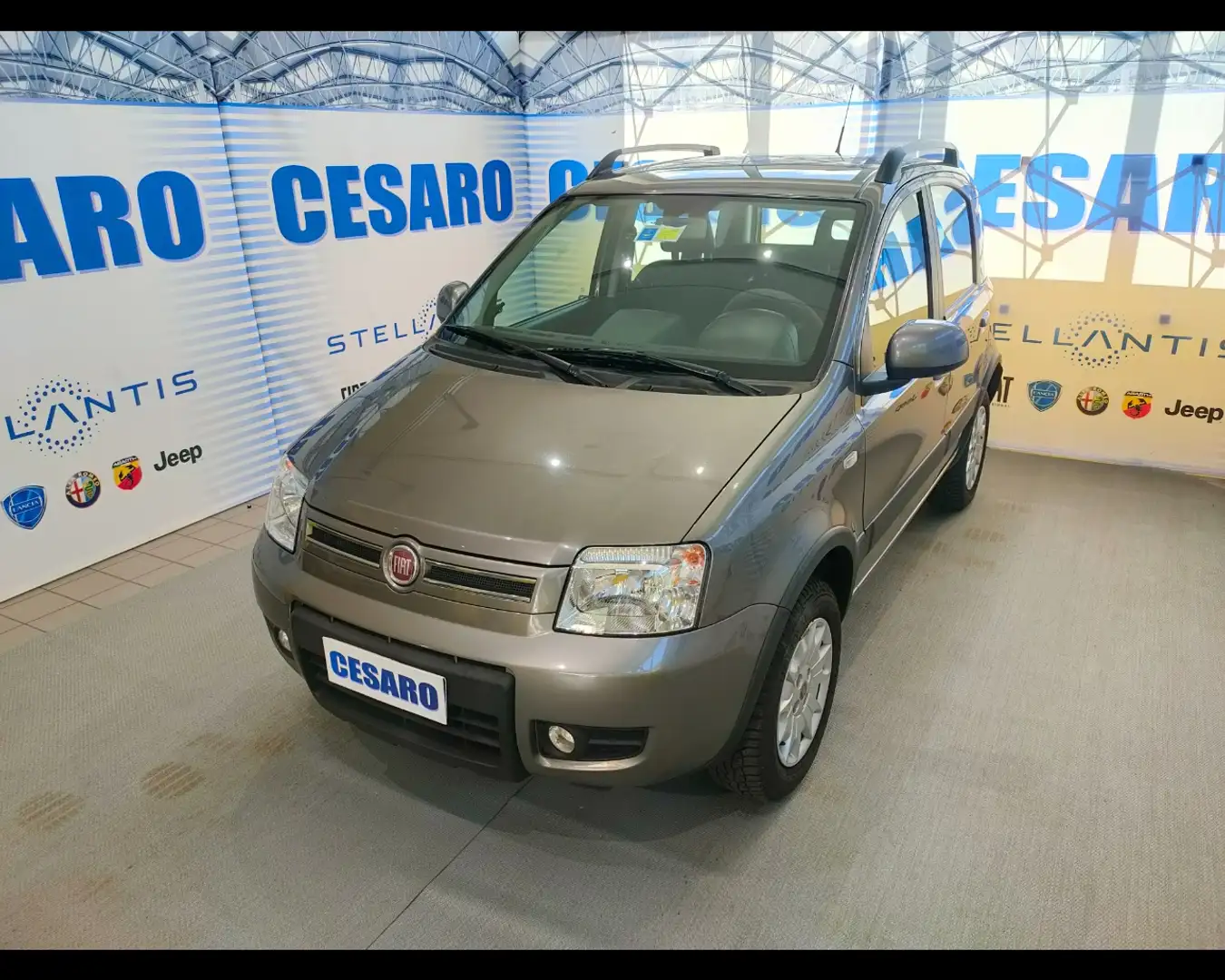 Fiat Panda 4x4 1.2  Climbing Grigio - 2