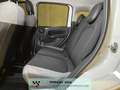 Fiat Panda III 2021 4x4 0.9 t.air t. Wild 4x4 PRONTA CONSEGNA Bianco - thumbnail 9