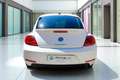 Volkswagen Maggiolino Maggiolino 2.0 TSI DSG Sport Alb - thumbnail 5