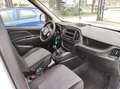 Fiat Doblo' 1.3 M. JET 90 CV CARGO Bianco - thumbnail 15