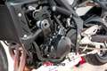 Triumph 675 Bianco - thumbnail 8