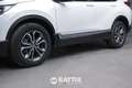 Honda CR-V 2.0 HEV Lifestyle Navi AWD e-CVT Blanc - thumbnail 5