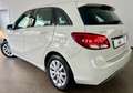 Mercedes-Benz B 200 AHK,Temp,Klima,Kamera,2xPDC,TÜV&SERV NEU Weiß - thumbnail 7