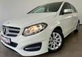Mercedes-Benz B 200 AHK,Temp,Klima,Kamera,2xPDC,TÜV&SERV NEU Weiß - thumbnail 5