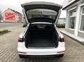 Audi S6 Avant 3.0 TDI quattro *B&O*ACC*Matrix* Weiß - thumbnail 9