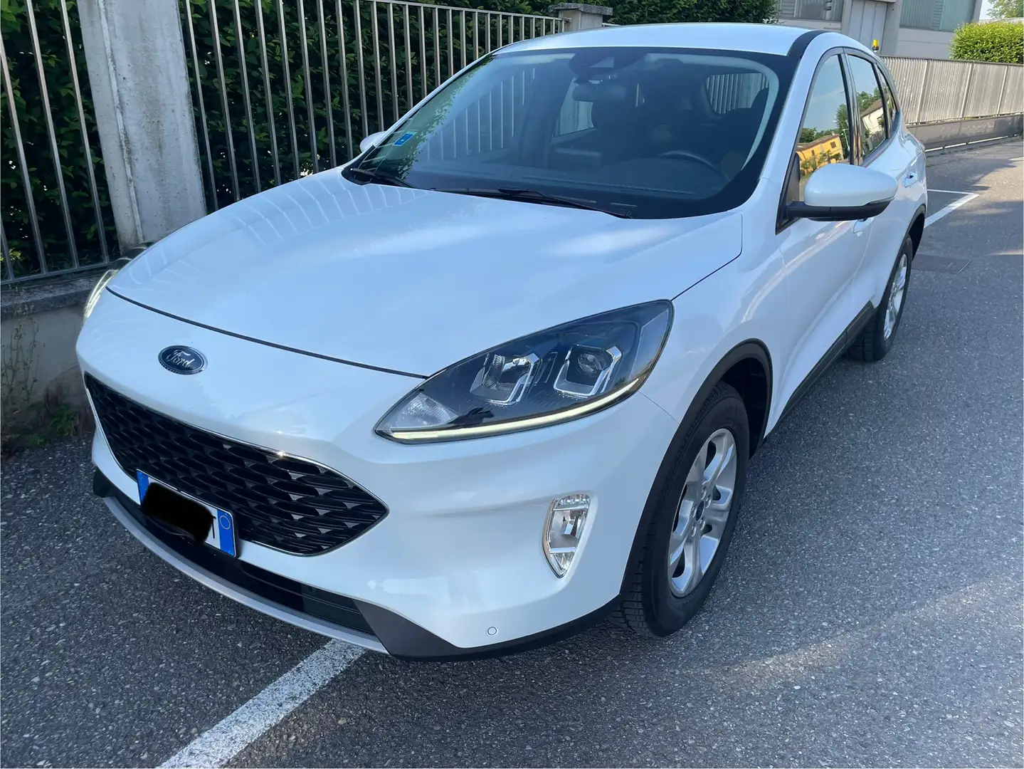 Ford Kuga 1.5 ecoblue Titanium Business 2wd 120cv auto Bianco - 2