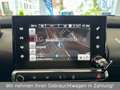 Citroen C4 Cactus Shine *Panorama Dach*R-Kamera* Weiß - thumbnail 14