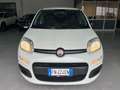Fiat Panda Panda III 2016 1.2 Easy easypower Gpl 69cv Bianco - thumbnail 2