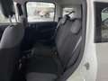 Fiat Panda Panda III 2016 1.2 Easy easypower Gpl 69cv Bianco - thumbnail 8