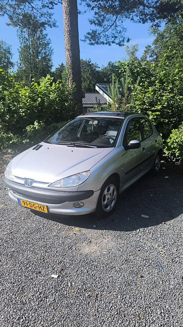 Peugeot 206 1.6 Roland Garros Grijs - 1