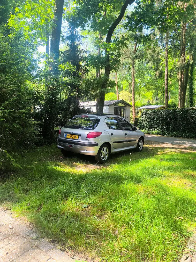 Peugeot 206 1.6 Roland Garros Grijs - 2