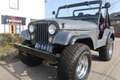 Jeep CJ-5 cj-5 LPG|CABRIO+SOFTTOP|APK&BELASTING VRIJ Gris - thumbnail 31