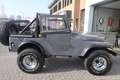 Jeep CJ-5 cj-5 LPG|CABRIO+SOFTTOP|APK&BELASTING VRIJ Gris - thumbnail 25