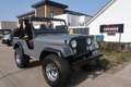 Jeep CJ-5 cj-5 LPG|CABRIO+SOFTTOP|APK&BELASTING VRIJ Gris - thumbnail 4