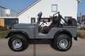 Jeep CJ-5 cj-5 LPG|CABRIO+SOFTTOP|APK&BELASTING VRIJ Gris - thumbnail 2
