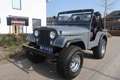 Jeep CJ-5 cj-5 LPG|CABRIO+SOFTTOP|APK&BELASTING VRIJ Gris - thumbnail 1