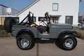 Jeep CJ-5 cj-5 LPG|CABRIO+SOFTTOP|APK&BELASTING VRIJ Gris - thumbnail 5