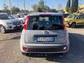 Fiat Panda Panda  1.0 firefly hybrid  PROMO FINANZIAMENTO Grigio - thumbnail 5