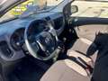 Fiat Panda Panda  1.0 firefly hybrid  PROMO FINANZIAMENTO Grigio - thumbnail 8
