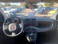 Fiat Panda Panda  1.0 firefly hybrid  PROMO FINANZIAMENTO Grigio - thumbnail 13