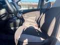 Fiat Panda Panda  1.0 firefly hybrid  PROMO FINANZIAMENTO Grigio - thumbnail 11